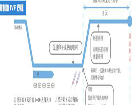 深圳高龄备孕？精子畸形率高，三代试管助我圆梦