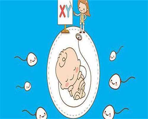 深圳单身女性试管三代全流程指引