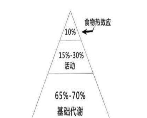 深圳49岁试管全攻略，高龄备孕必知的医学真相
