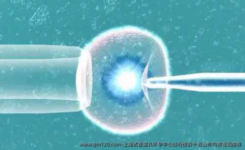深圳试管婴儿避坑指南|不孕咨询必看的家庭攻略